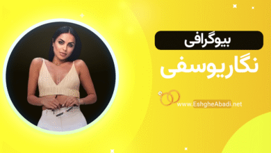 بیوگرافی نگار یوسفی